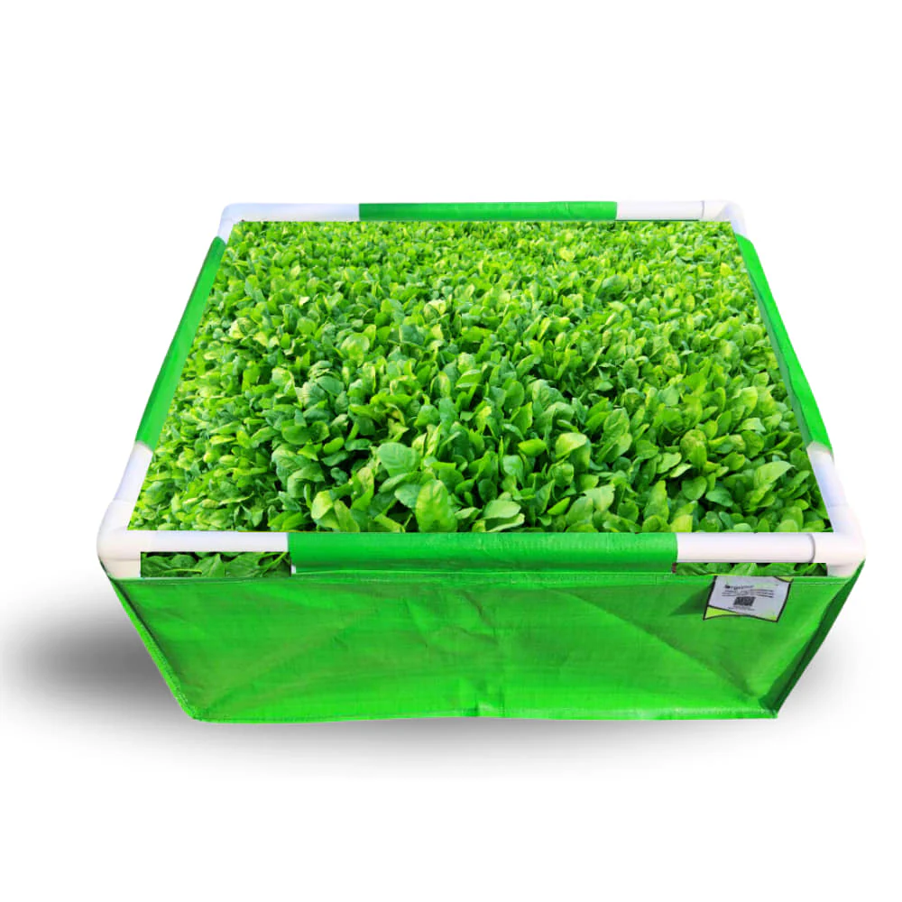 OrganicBazar 24x18x12 Rectangular Grow Bags with PVC Support Pipes for Terrace Garden - Image 6