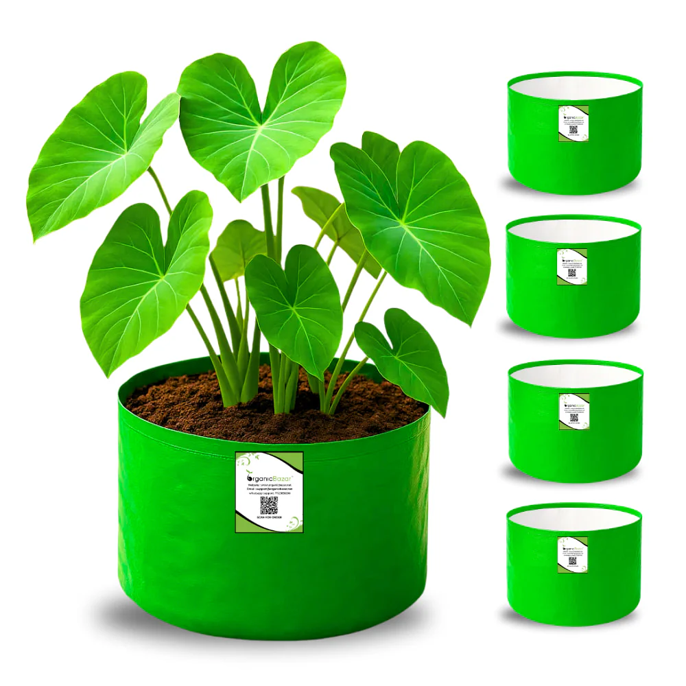 OrganicBazar 9x6 Small Grow Bag for Terrace Garden, Premium HDPE 260 GSM, Green Plant Bags - Image 5