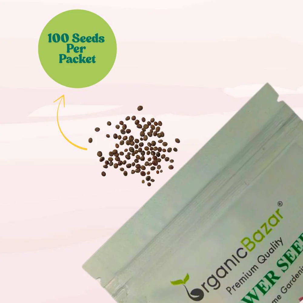 Balsam Bush Flower Mixed Seeds - (100 Seeds) (Gulmehndi/गुलमेहंदी के बीज) High Germination/ Easy to grow/Colorful Flower Seeds for Balcony & Terrace Garden - Image 3