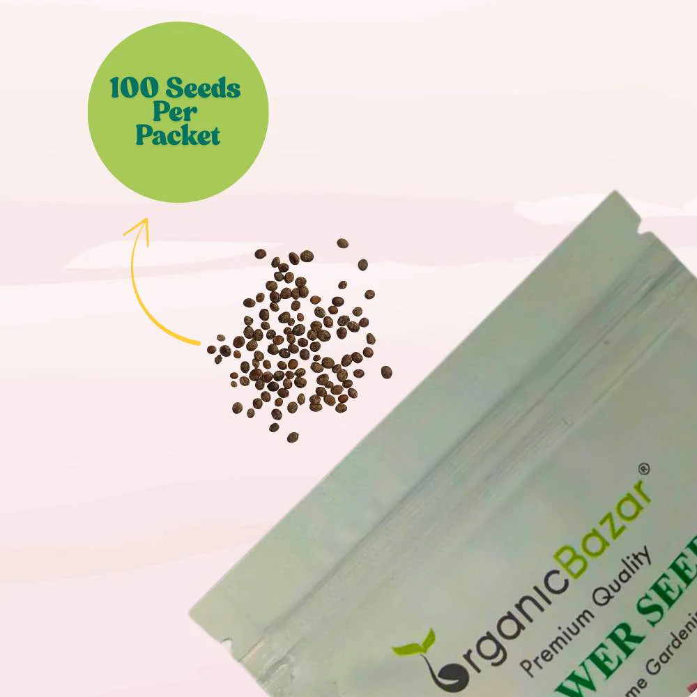 Balsam Tom Thumb Mix Seeds - 100 Seeds (Gulmehndi/गुलमेहंदी के बीज) High Germination/ Easy to grow/Colorful Flower Seeds for Balcony & Terrace Garden - Image 3