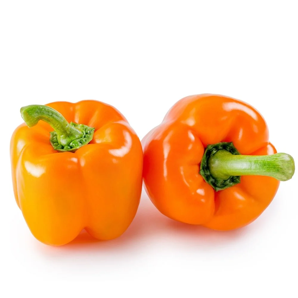 Capsicum Orange (OP) Seeds - (30 Seeds) High Yield/ High Germination Best for Home Gardens (Naarangi Shimla Mirch/नारंगी शिमला मिर्च के बीज) - Image 2