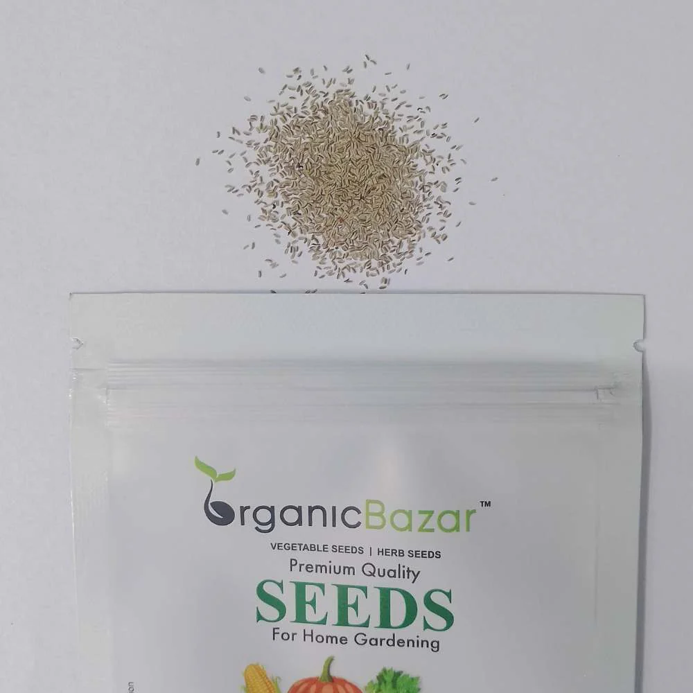 Chamomile German Seeds - 1000 Seeds (рдХреИрдореЛрдорд╛рдЗрд▓ рдХреЗ рдмреАрдЬ) - Image 3
