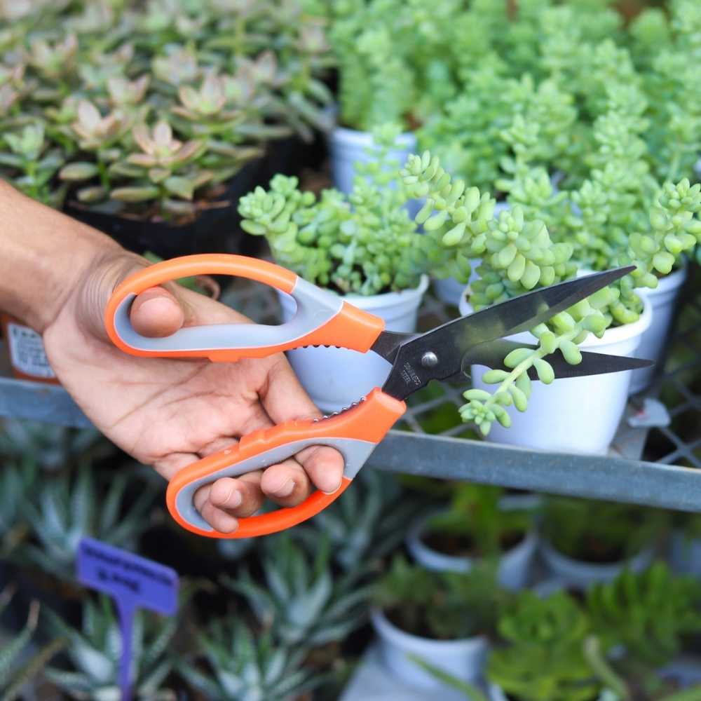Stainless Steel Gardening Scissors with Sharp Blades - Image 3
