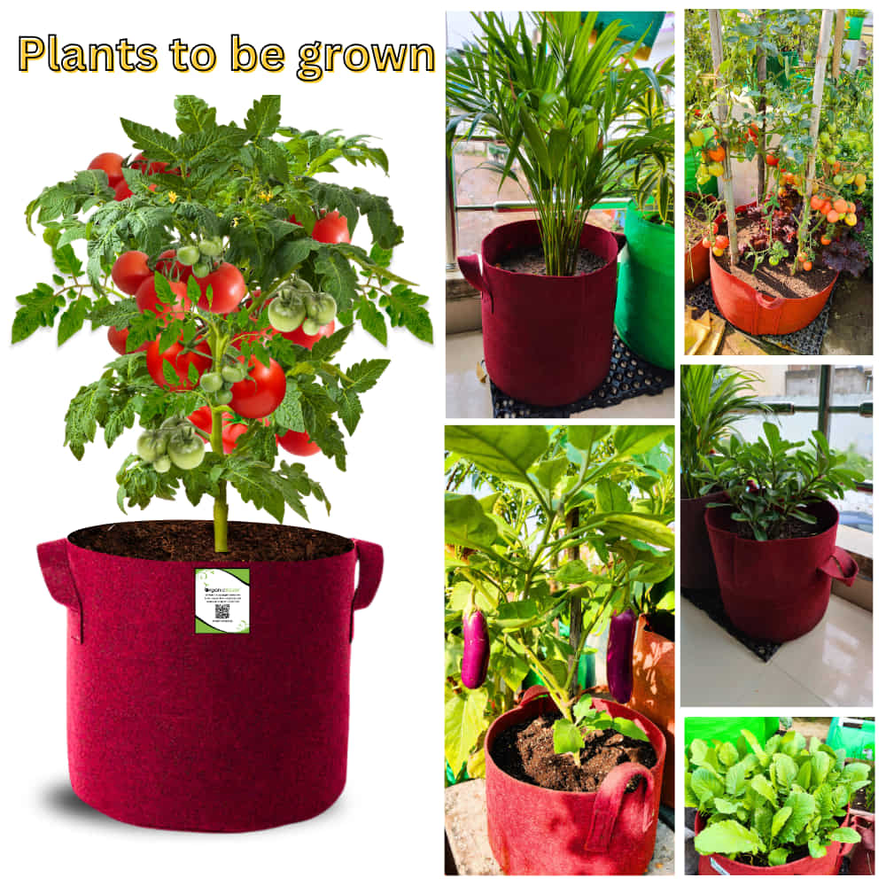 Geo Fabric 12x12 Grow Bag For Terrace Gardening Suitable For Vegetable and Flower Plants - Image 7