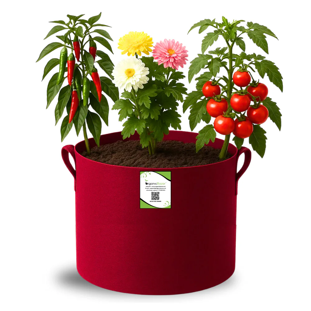 OrganicBazar 9x9 Geo Grow Bags Suitable for Vegetable and Flower Plants, Premium Quality 450 GSM Maroon Planters for Terrace Garden - Image 3