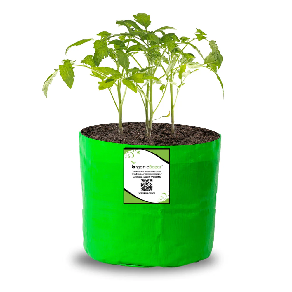 OrganicBazar 6x6 Small Size Grow Bag for Home Gardening, Premium HDPE 260 GSM, Green Plant Bags - Image 10