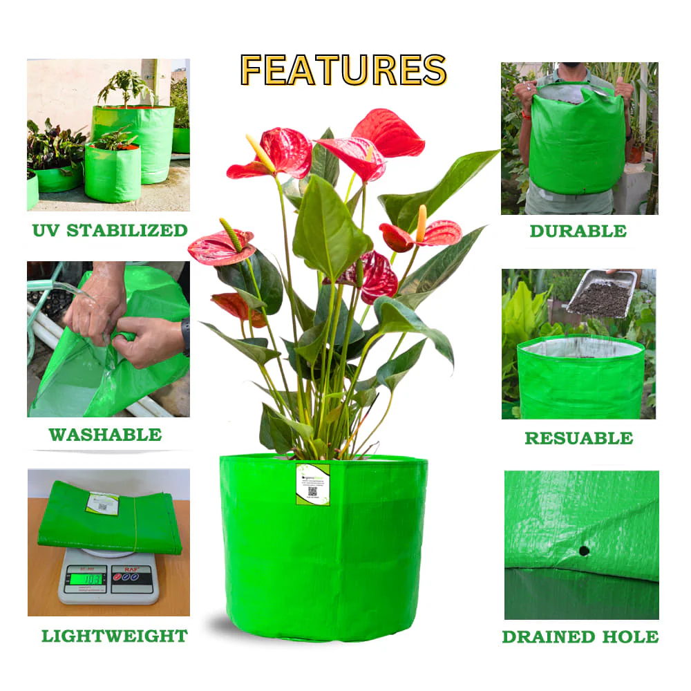 OrganicBazar 6x6 Small Size Grow Bag for Home Gardening, Premium HDPE 260 GSM, Green Plant Bags - Image 7