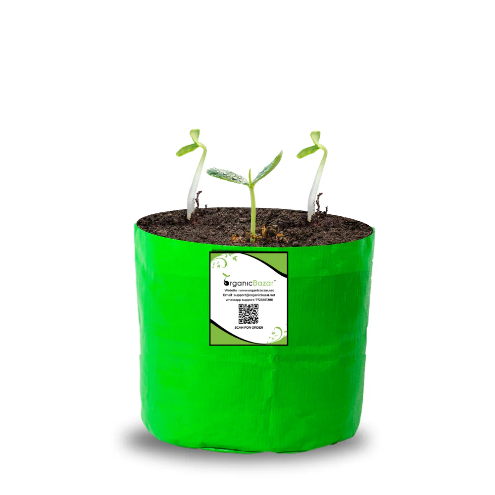 OrganicBazar 6x6 Small Size Grow Bag for Home Gardening, Premium HDPE 260 GSM, Green Plant Bags - Image 9