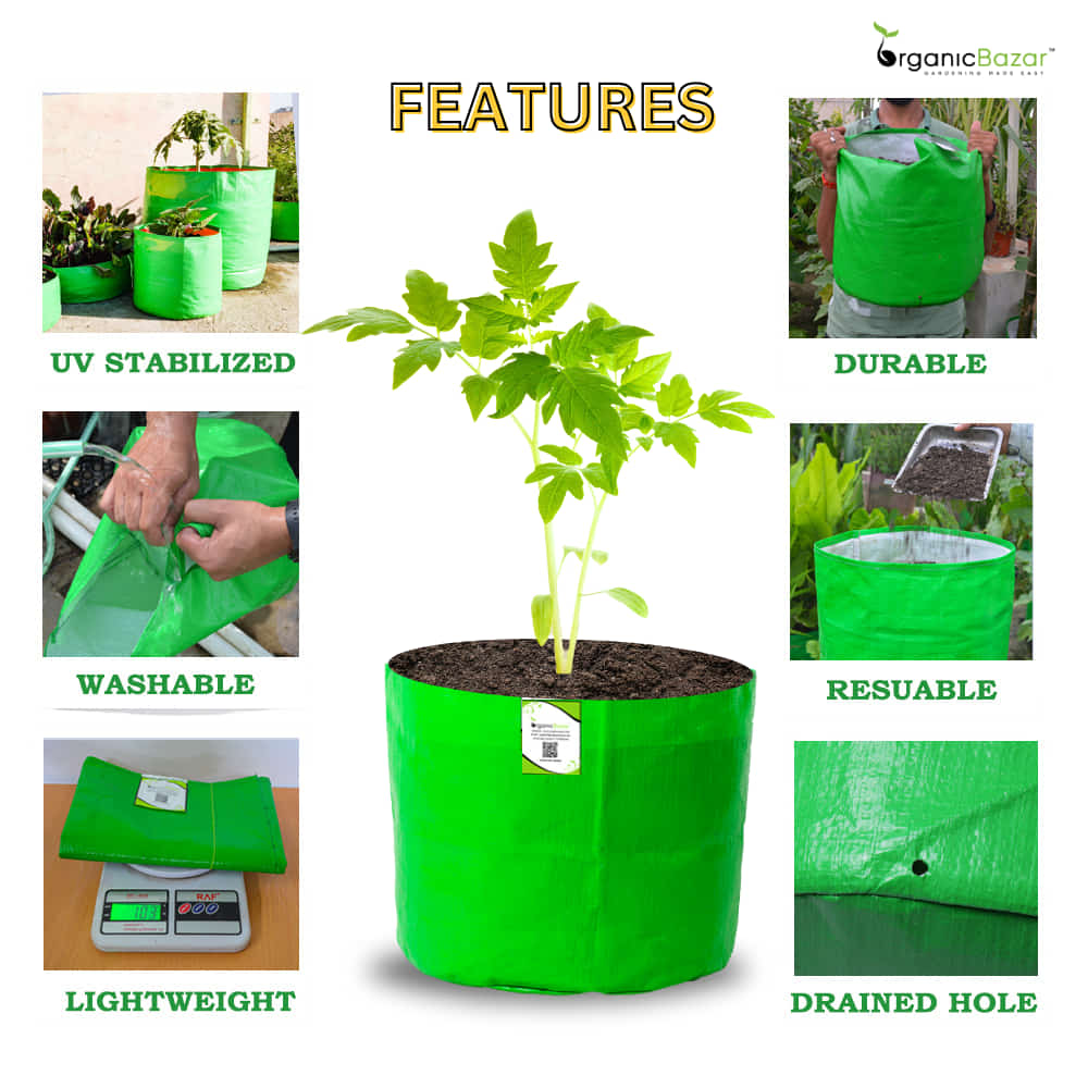 OrganicBazar 5x5 Small Size Grow Bag for Nursery Plants, Premium HDPE 260 GSM, Green Plant Bags - Image 3