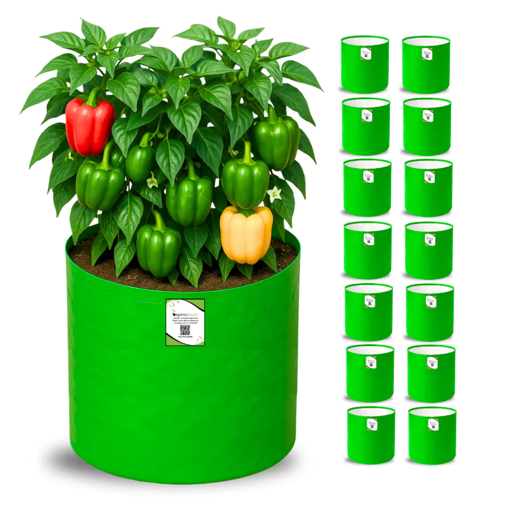 OrganicBazar 15x15 Grow Bag for Vegetable Gardening, Premium HDPE 260 GSM, Green Plant Bags for Terrace Garden - Image 6