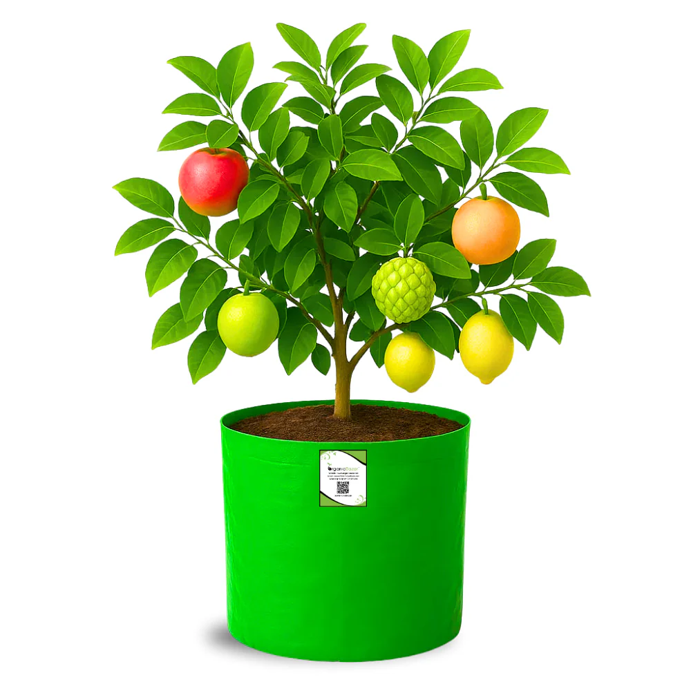 HDPE 18x18 Grow Bags for Terrace Gardening Extra Thick Premium Quality Grow Bags - Image 9