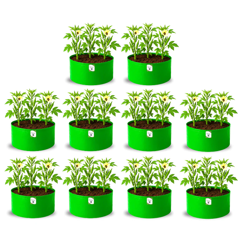 OrganicBazar 18x15 Grow Bag for Vegetable Garden, Premium HDPE 260 GSM, Green Plant Bags for Terrace Garden - Image 5