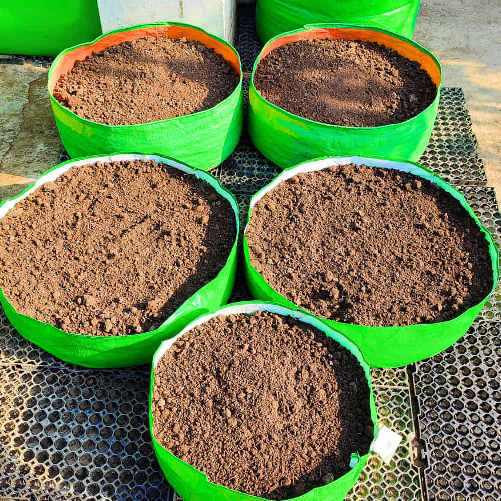 OrganicBazar 18x6 Grow Bag for Leafy Vegetables, Premium HDPE 260 GSM, Green Plant Bags for Terrace Garden - Image 7