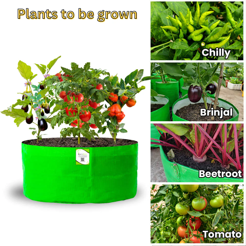 HDPE 24x15 Grow Bags for Home and Terrace Gardening Extra Thick Premium Quality Grow Bags - Image 6