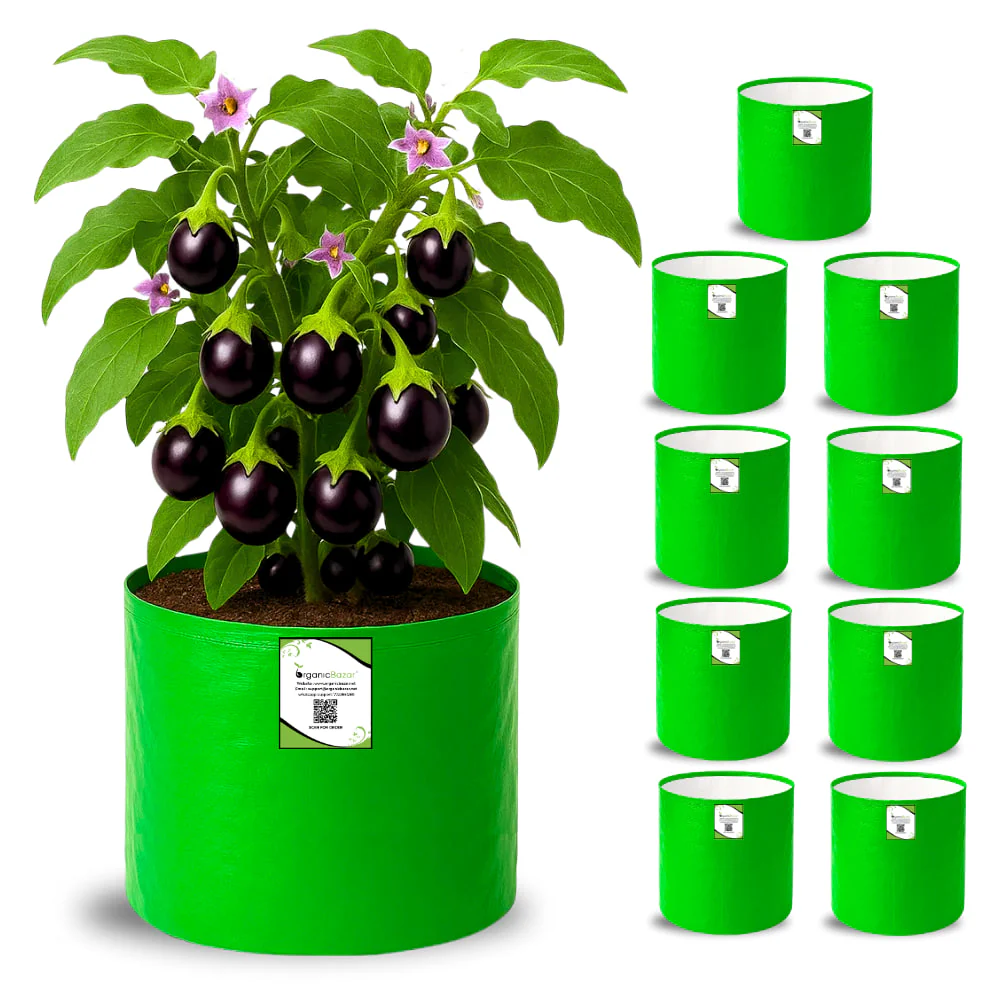 OrganicBazar HDPE 10Γ10 Cylindrical Grow Bag β 260 GSM | UV-Stabilized Round Grow Bag for Vegetables & Flowers