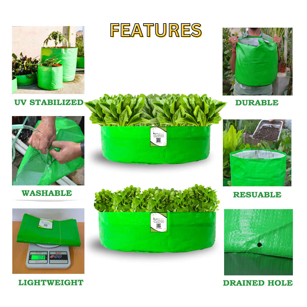 OrganicBazar 15x6 Grow Bag for Leafy Vegetables, Premium HDPE 260 GSM, Green Plant Bags - Image 3