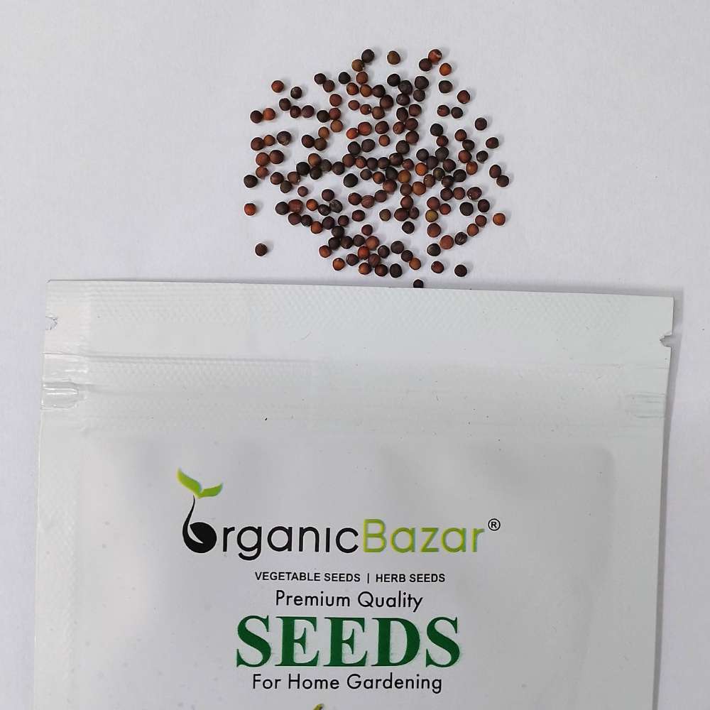 Knol Khol (kohlrabi) Seeds - 150N (Ganth Gobhi/गांठ गोभी के बीज) - Image 3