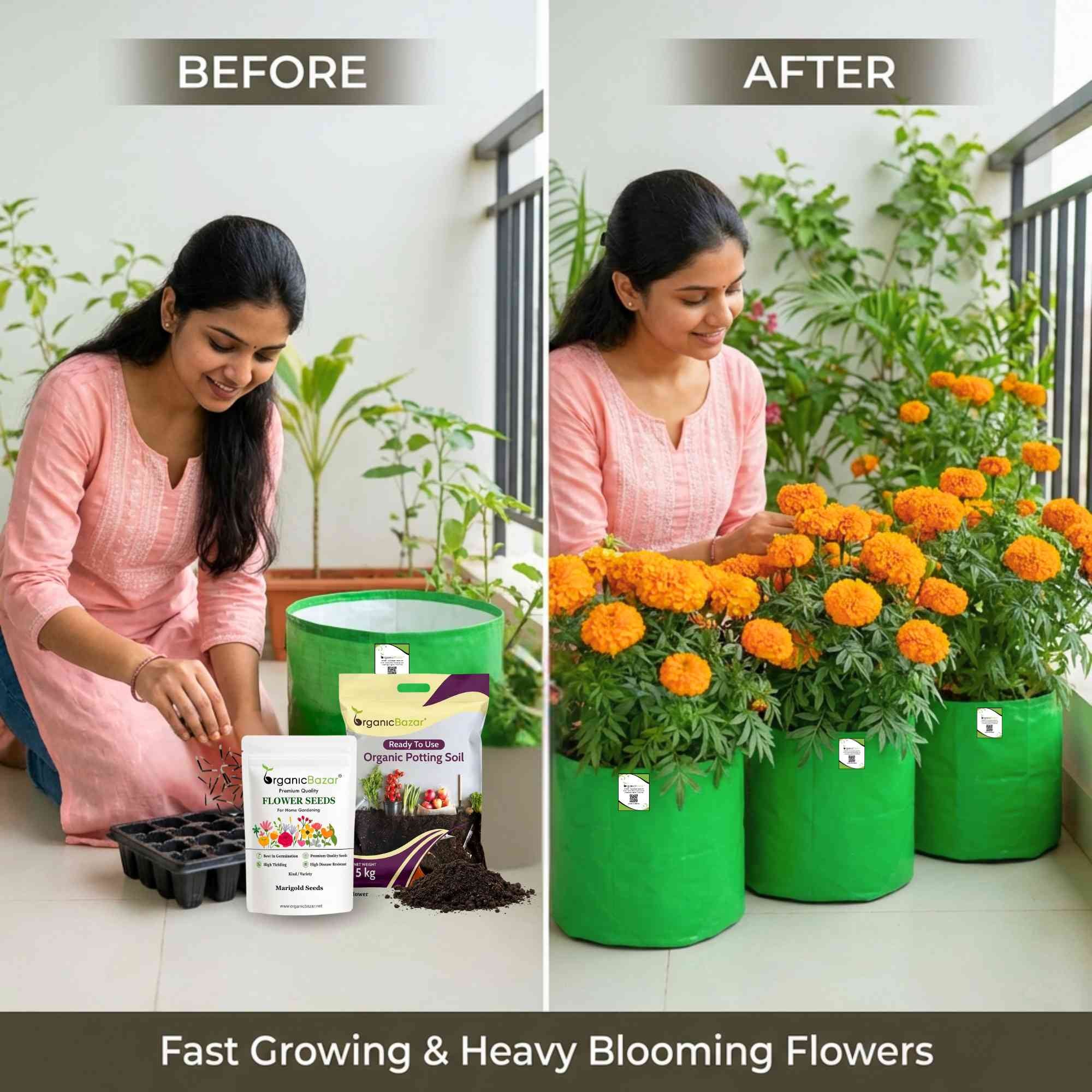 Marigold Orange Flower Seeds - 100 Seeds (Genda/ गेंदा के बीज) High Germination/ Easy To grow/ Perfect for pots, balconies, or Terrace gardens - Image 3