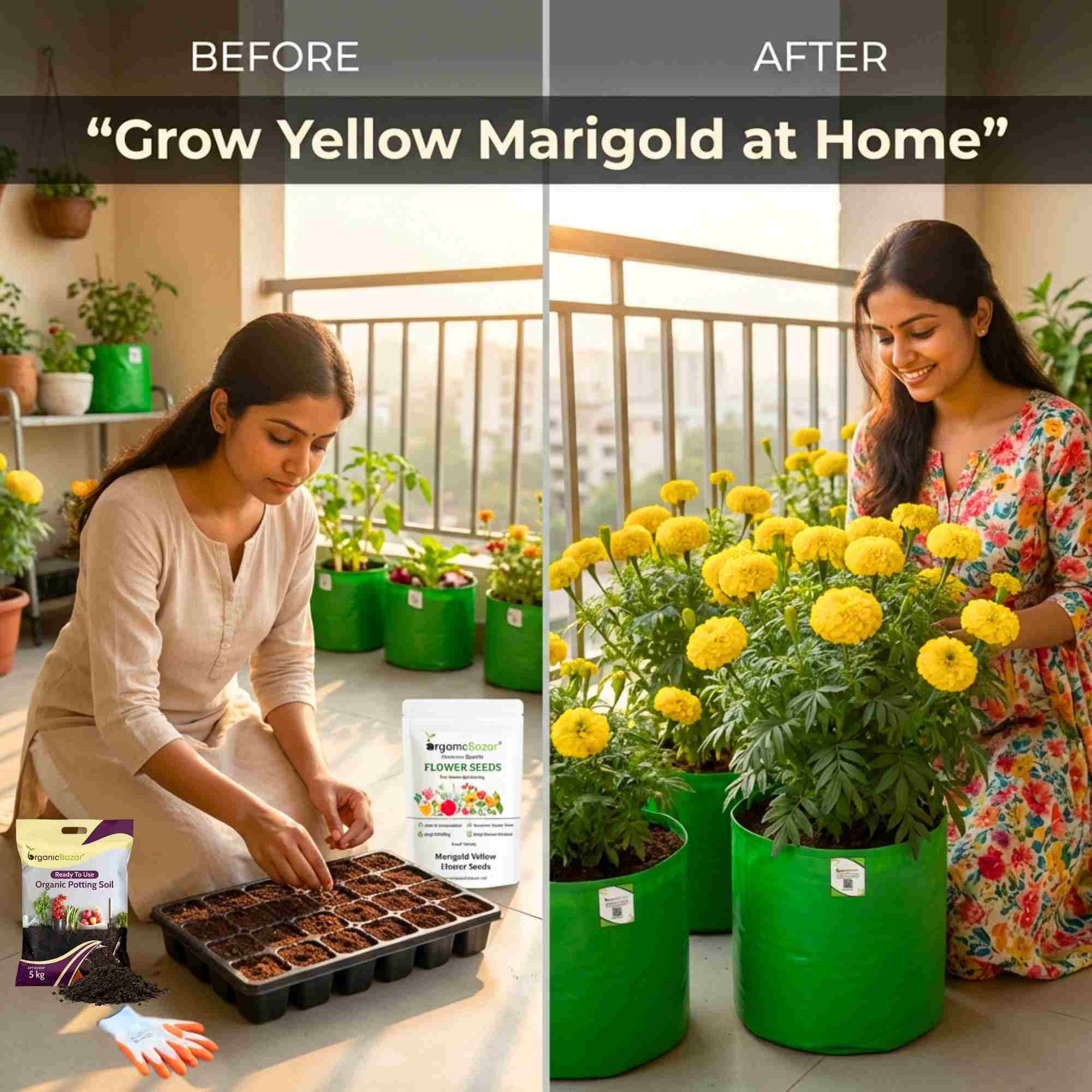 Marigold Yellow Flower Seeds - 100 Seeds (Pila Genda/ पीले गेंदा के बीज) High Germination/ Easy To grow/ Perfect for pots, balconies, or Terrace gardens - Image 3