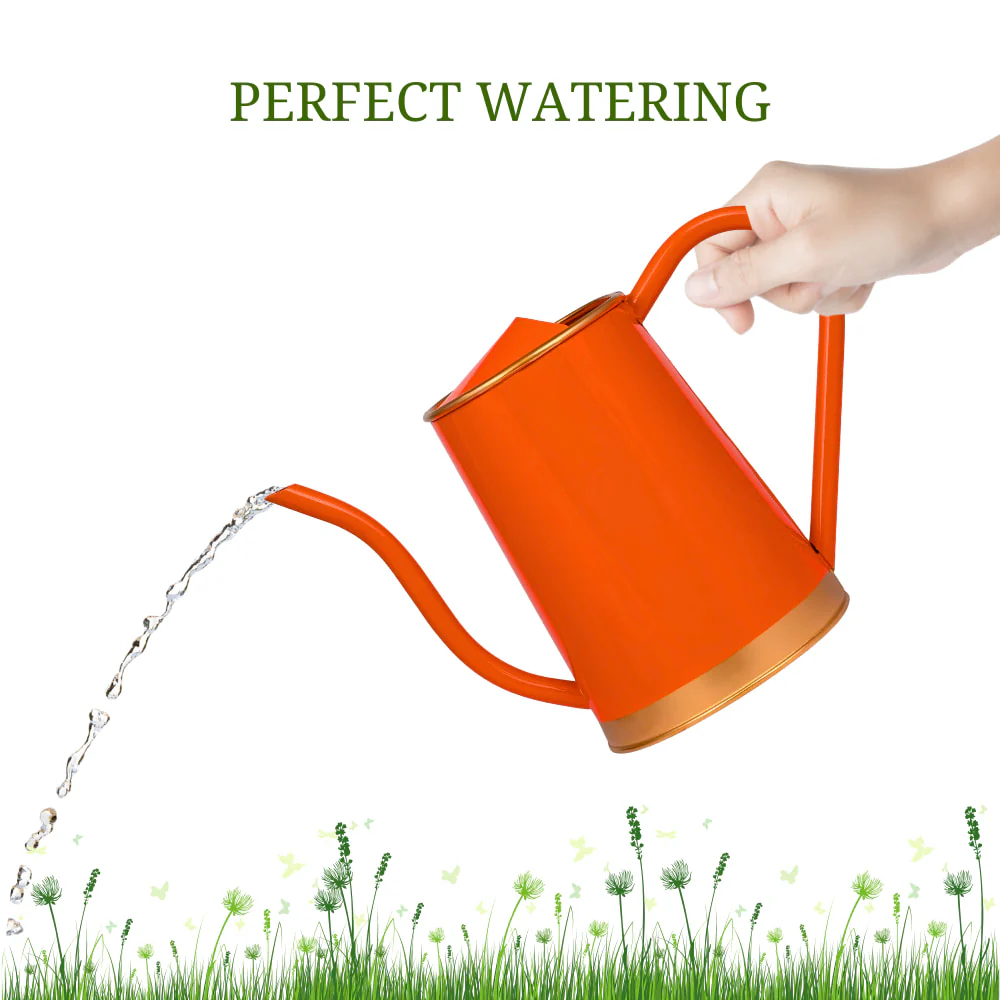 Metal Watering Can For Home Garden - Image 5