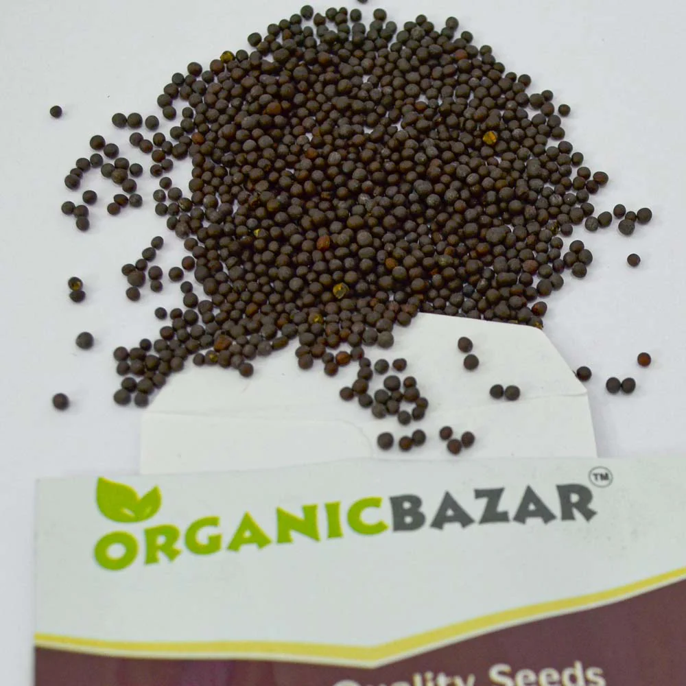 Mustard (Sarson) Seeds (सरसों के बीज) - 1000 Seeds - Image 3
