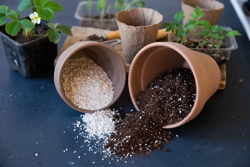 Perlite for Gardening 450 g - Image 5