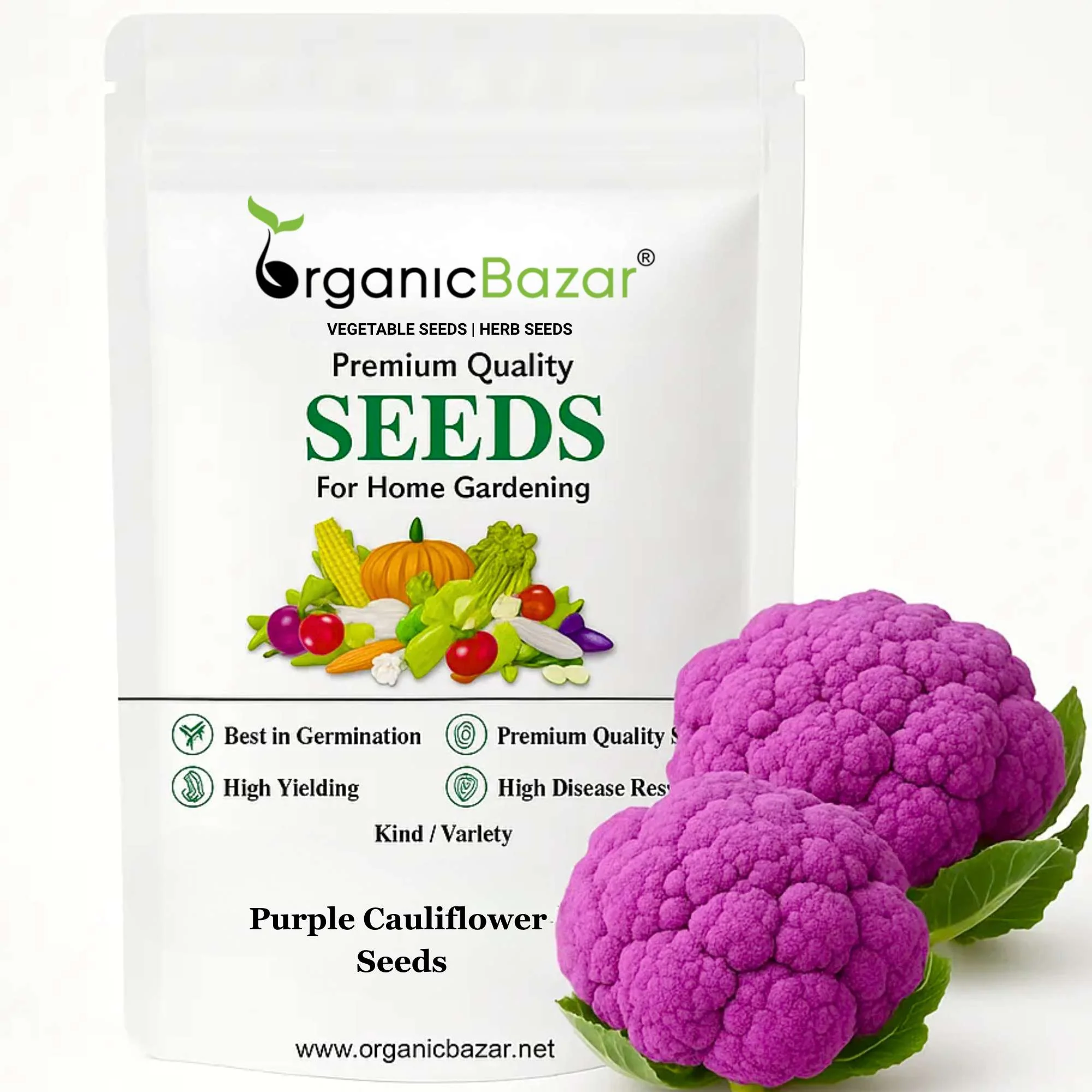 Purple Cauliflower (Bainganee Phool gobhi) Seeds - 40 Seeds (बैंगनी फूल गोभी) High Germination /Easy to Grow/Ideal for Terrace/Kitchen Gardening