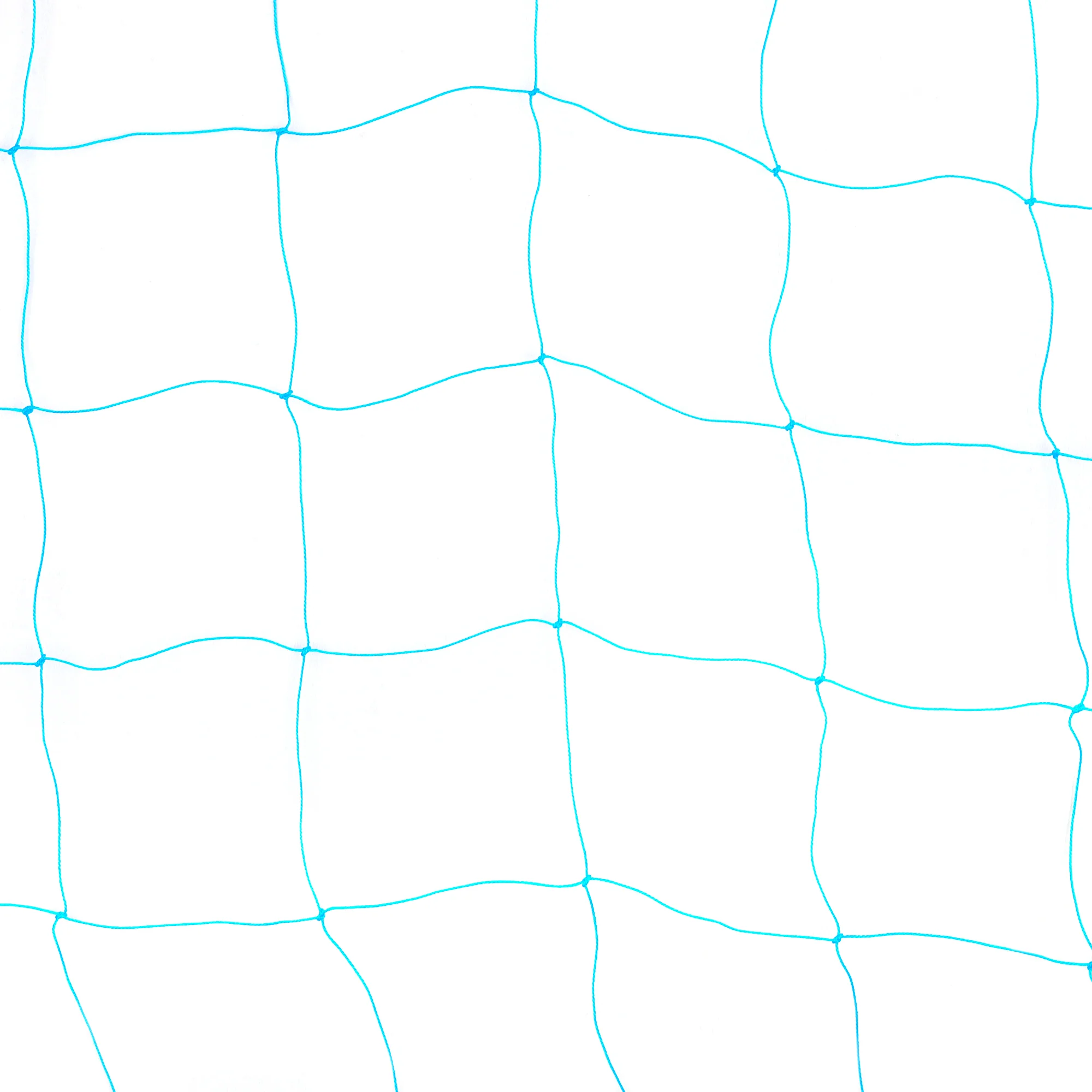 Creeper Plant Support Net – 1.5m x 10m | Heavy-Duty UV-Treated Blue Net for Climbing Plants - Image 2
