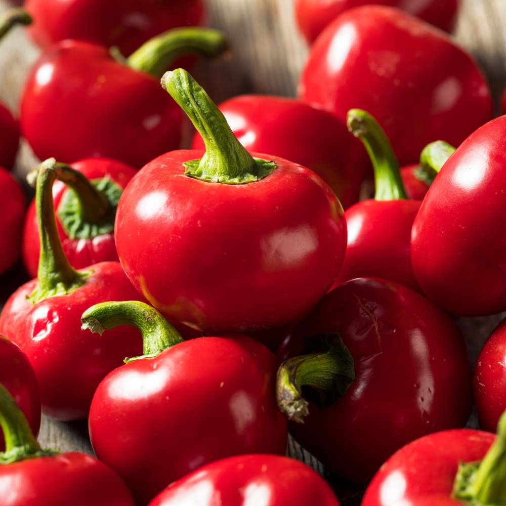 Red Cherry Pepper Chilli Seeds (30 Seeds)