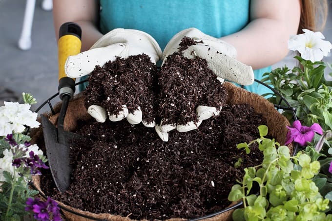 DIY Premium Organic Seedling Starter Mix Kit for Home Garden - Image 7