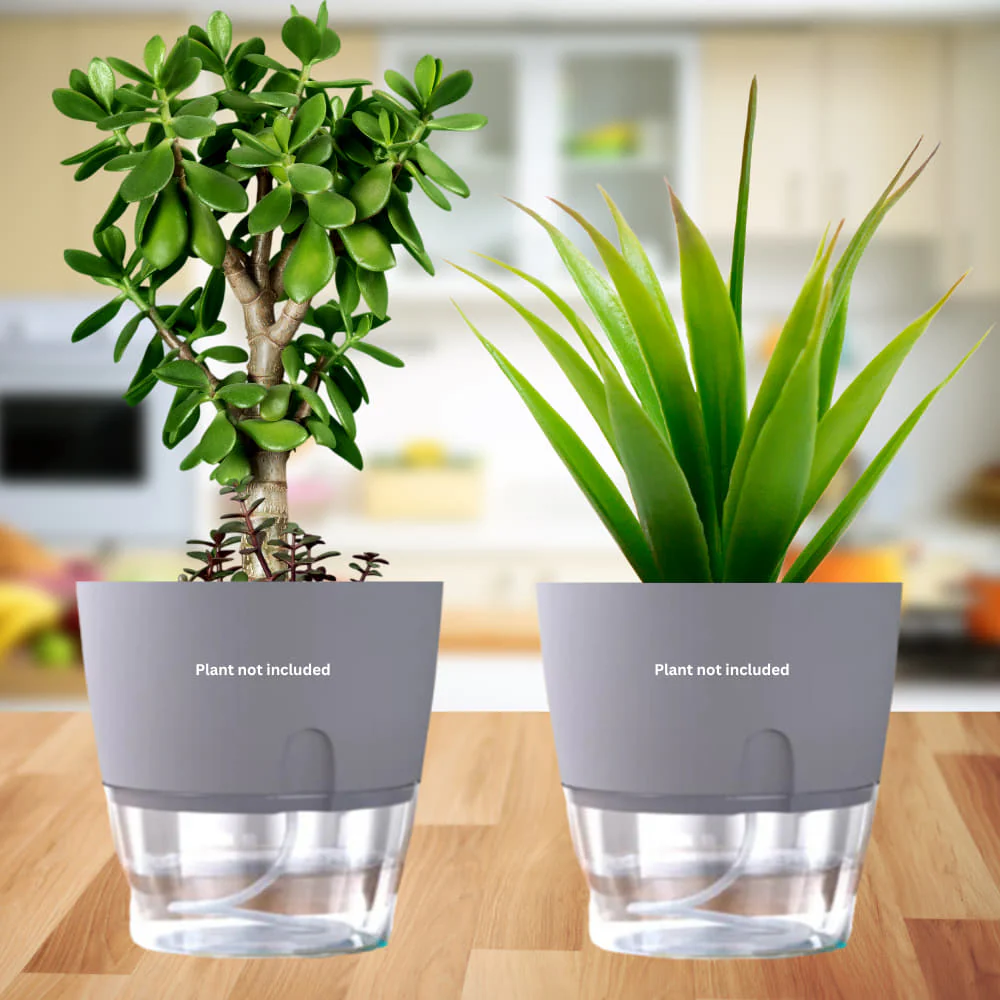 OrganicBazar Self Watering Pot Clear Plastic Decorative Garden Planters (Pack of 2) Without Plant - Image 10