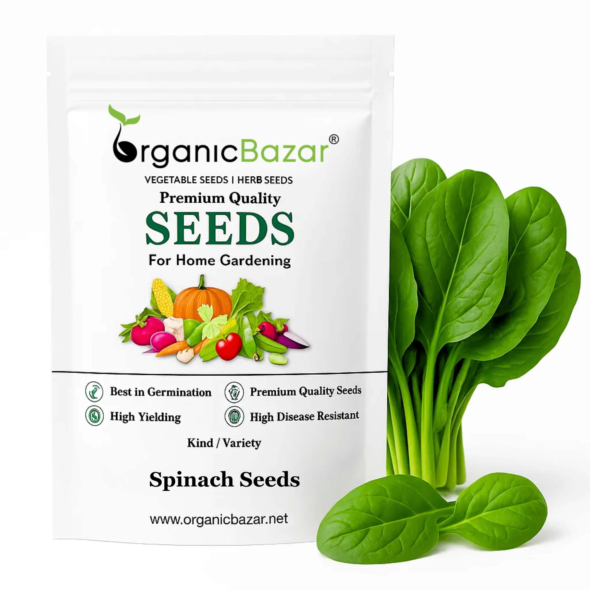 Spinach (Palak) Seeds (750 Seeds) (पालक के बीज) Easy to Grow Leafy Greens