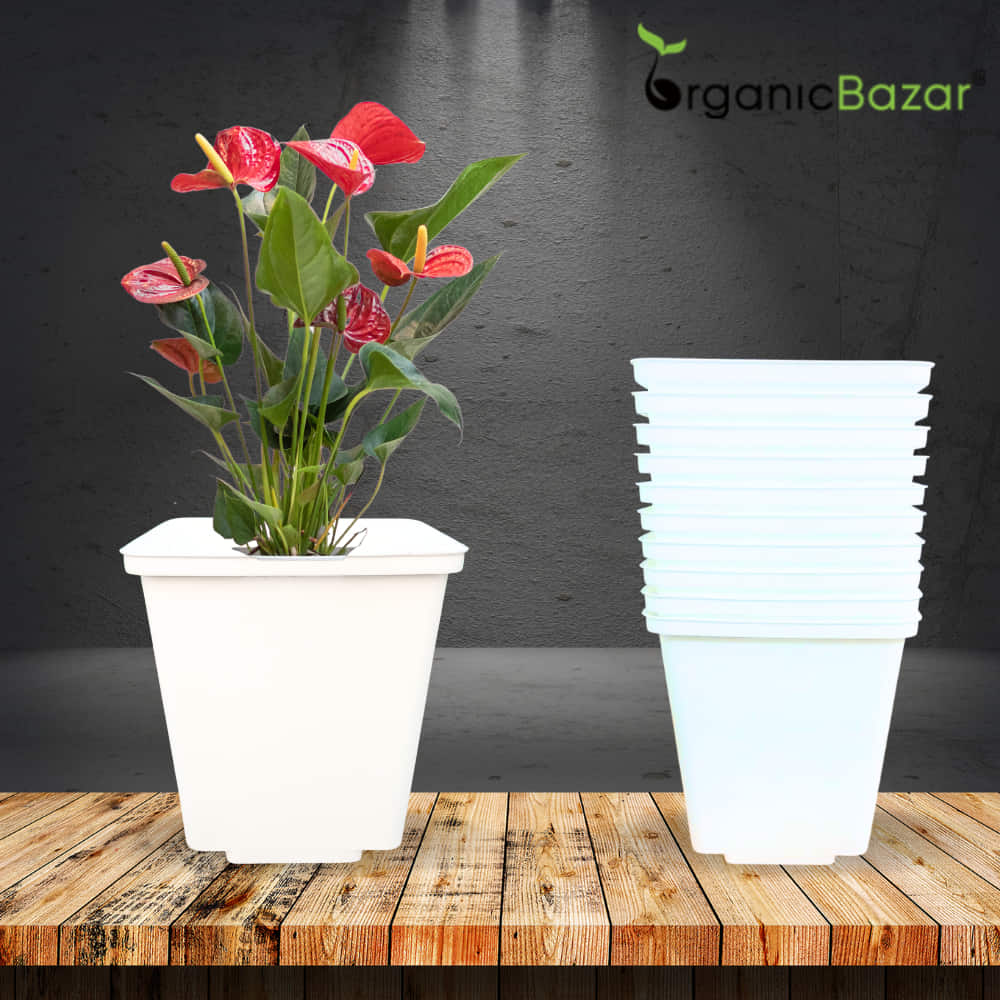 Square Nursery Pot for Seedlings (White) - Image 10