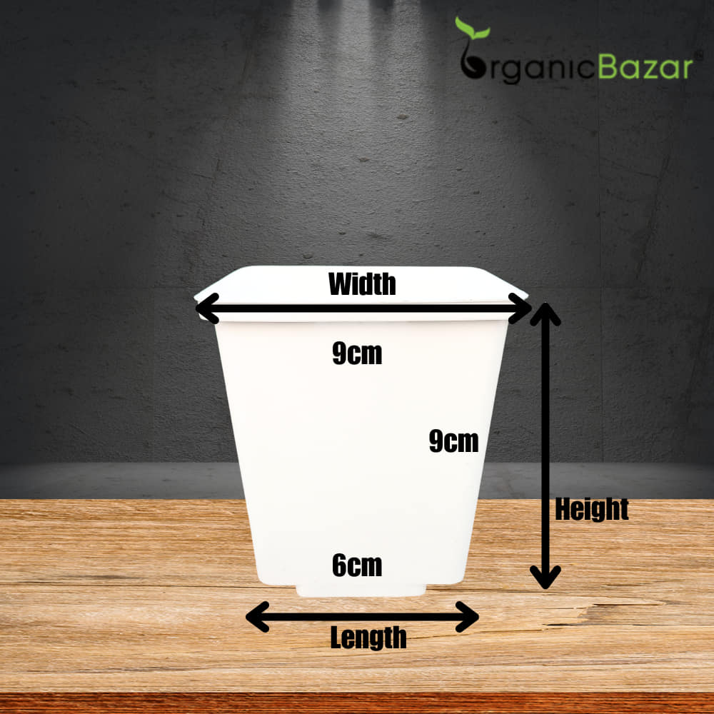 Square Nursery Pot for Seedlings (White) - Image 5