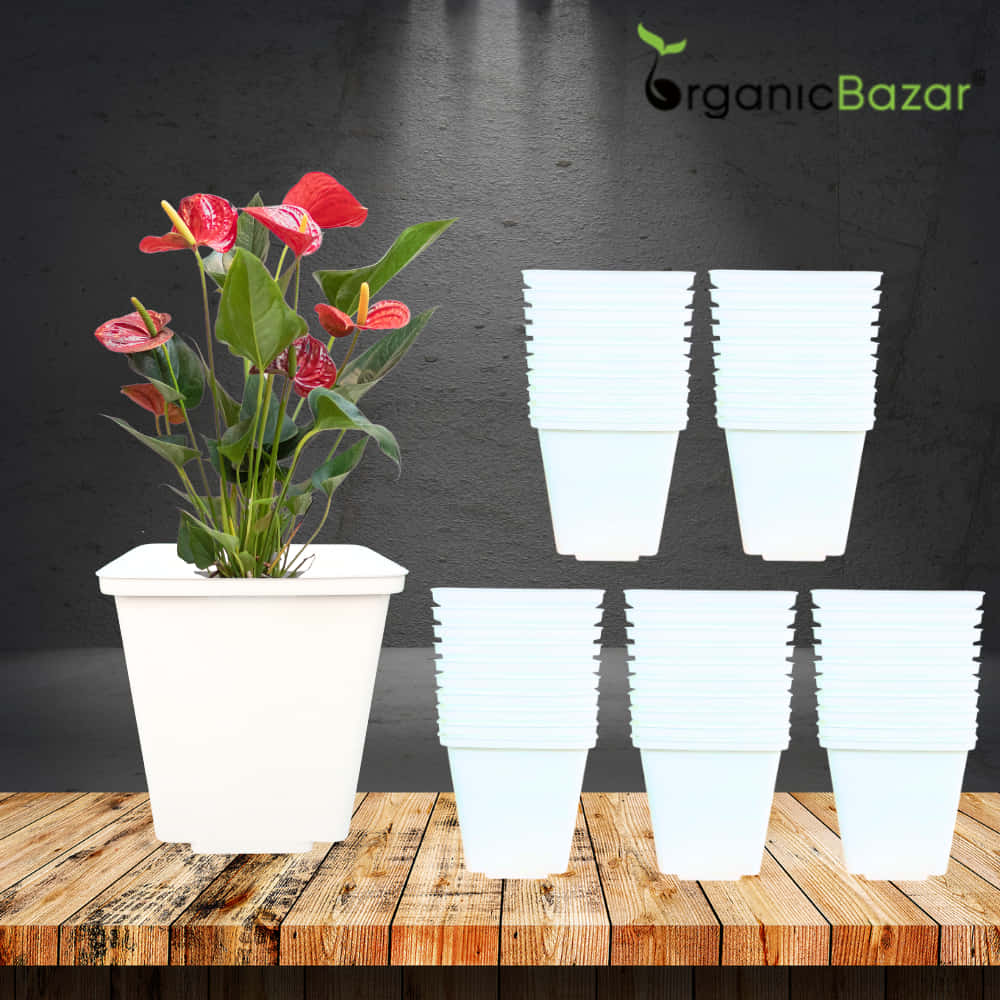 Square Nursery Pot for Seedlings (White) - Image 9