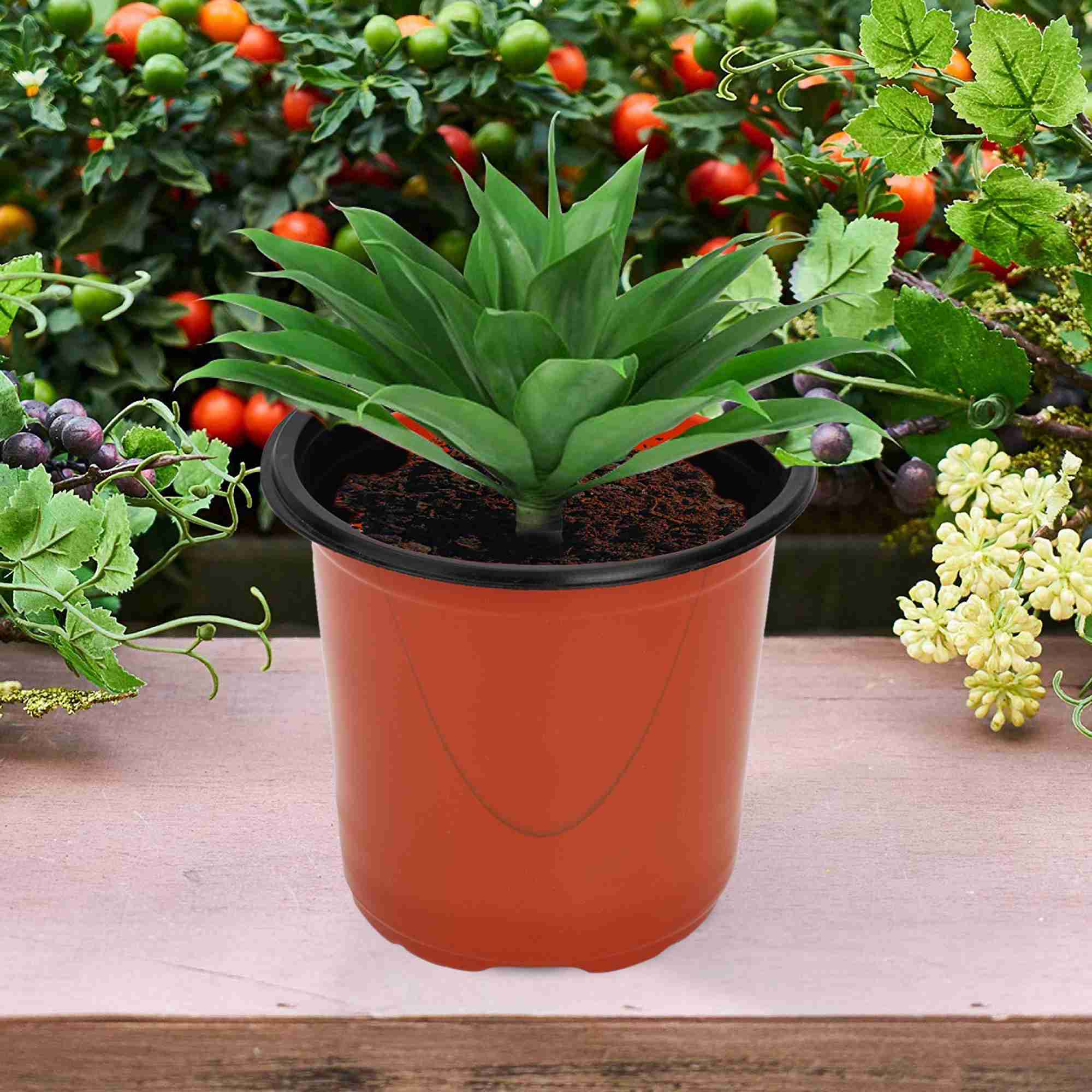 Thermoform Pot-4 Terracotta Color (Set of 20) (10cm) - Image 6