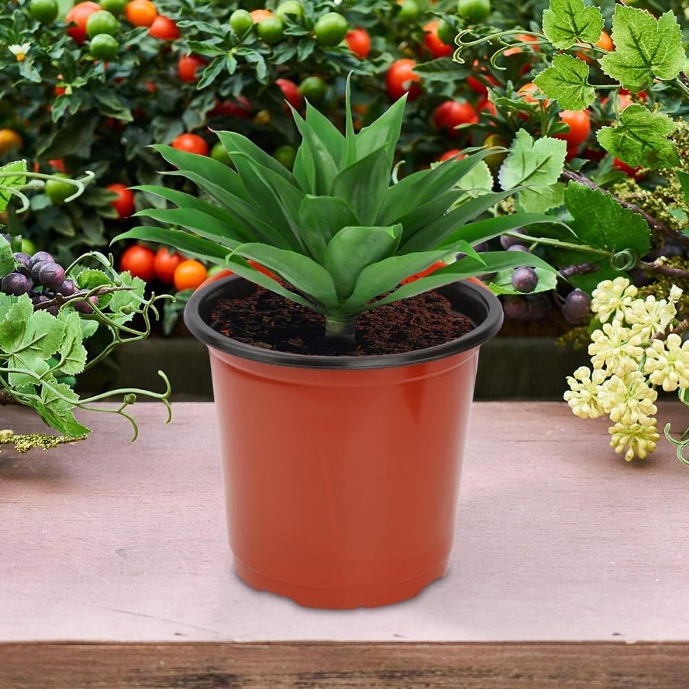 Thermoform Pot-7 Terracotta Color (Set of 20) (18 cm) - Image 7
