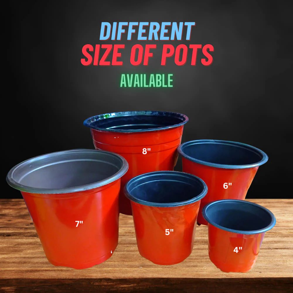 Thermoform Pot-7 Terracotta Color (Set of 20) (18 cm) - Image 8