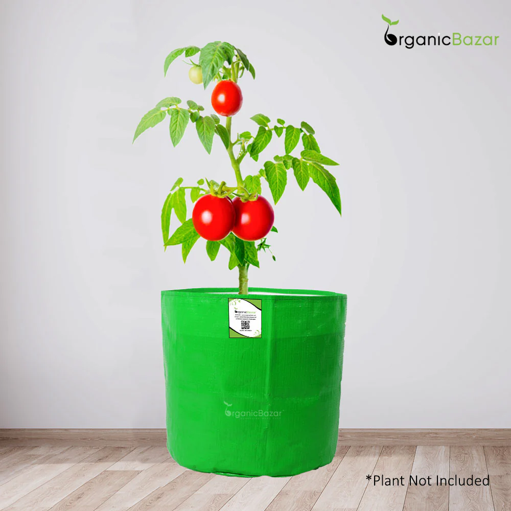 Tomatoes Growing Kit for beginners Grow Your Own Tomatoes - Perfect for Beginners - Image 4