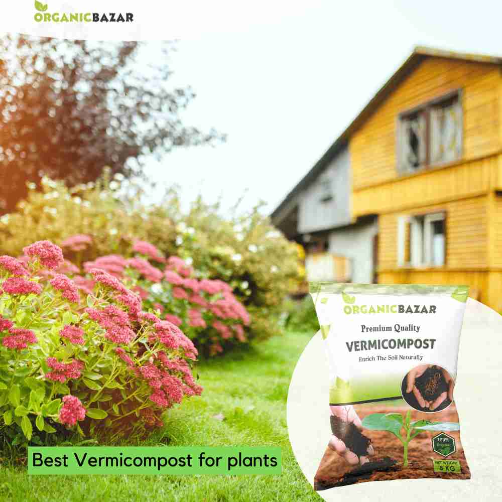 Vermicompost Fertilizer for Home garden Plants (1kg) - Image 6